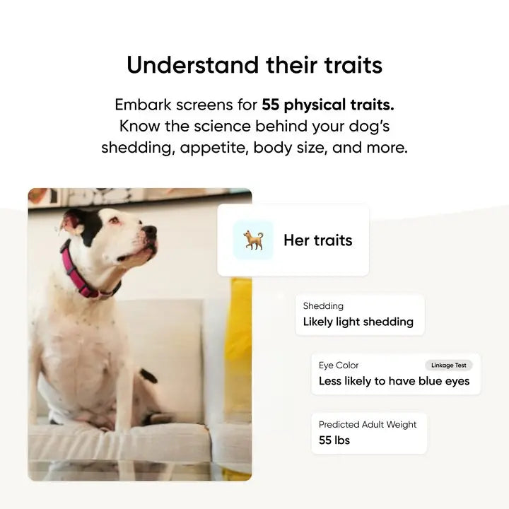 Breed + Health Dog DNA Test