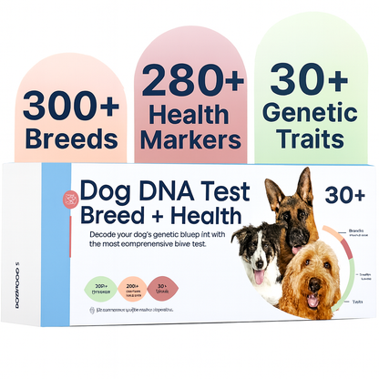 Breed + Health Dog DNA Test