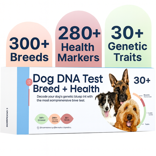 Breed + Health Dog DNA Test