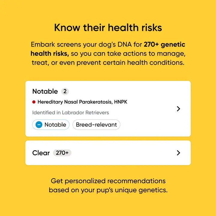 Breed + Health Dog DNA Test